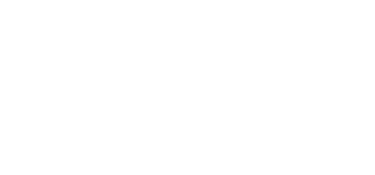 Logo  amy